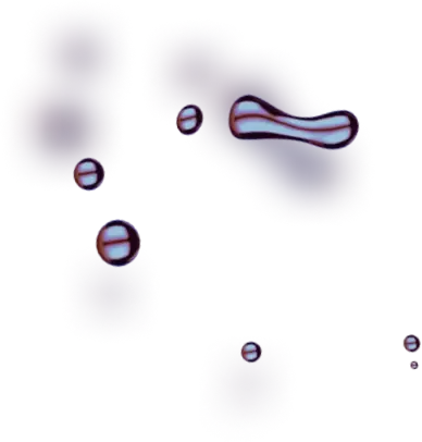 Gas 7.5 Alrex - Unveil the story of our exceptional team